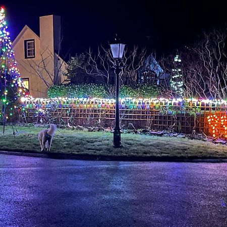 Annie Dee'S Guest Accommodation Ballygowan エクステリア 写真