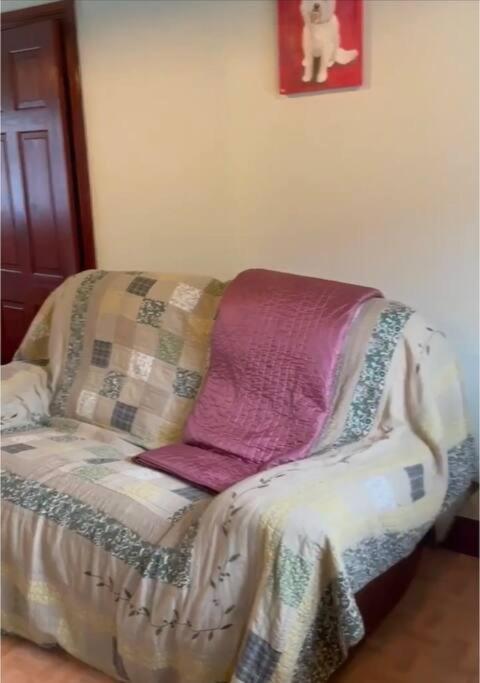 Annie Dee'S Guest Accommodation Ballygowan エクステリア 写真