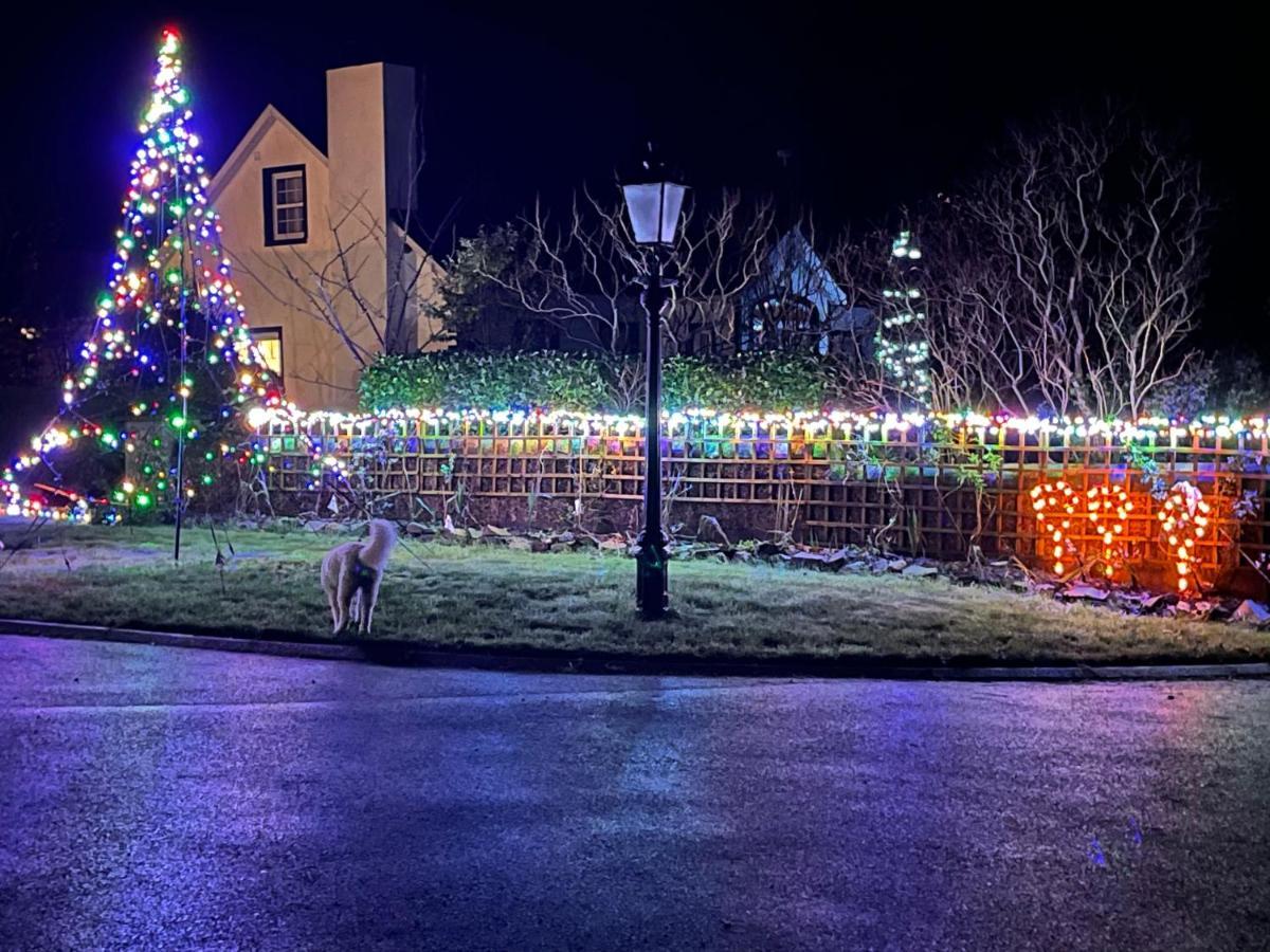 Annie Dee'S Guest Accommodation Ballygowan エクステリア 写真