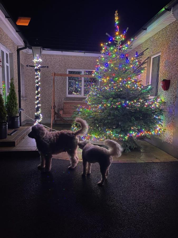 Annie Dee'S Guest Accommodation Ballygowan エクステリア 写真